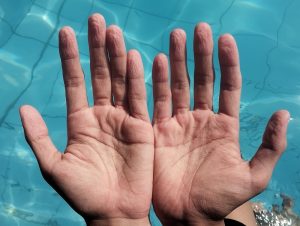 fingies